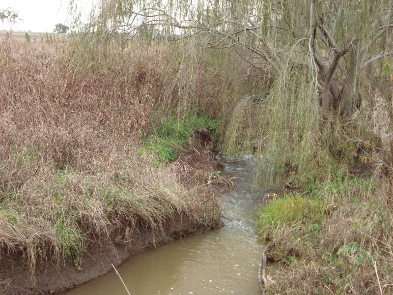 164 E.Drews Road, Westbrook QLD 4350