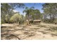 12 Wilga Avenue, Oakey QLD 4401