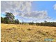 1550 Barkers Lodge Road, Oakdale NSW 2570