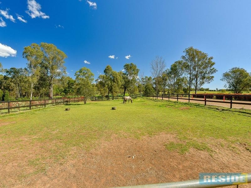 63 Mockingbird Road, Pheasants Nest NSW 2574