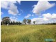L178 Condell Park Road, Wilton NSW 2571