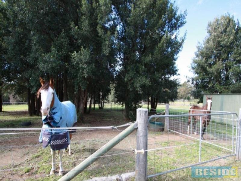 115 Russell Lane, Oakdale NSW 2570