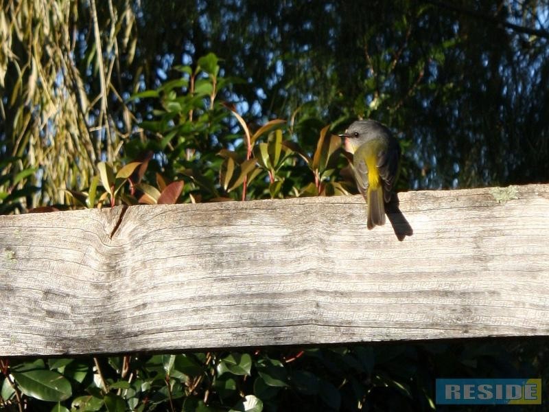 41A Hill Street, Picton NSW 2571