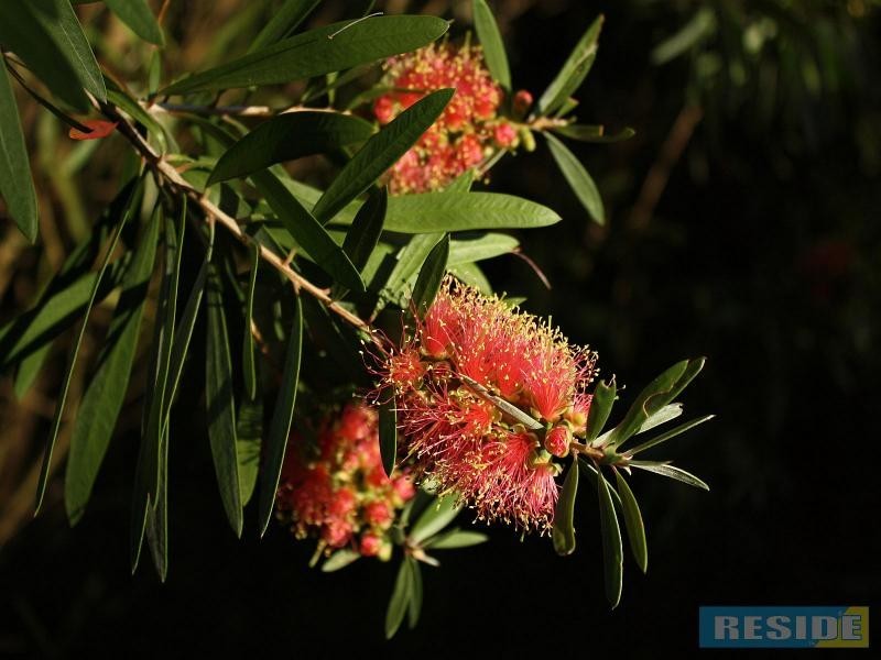 41A Hill Street, Picton NSW 2571