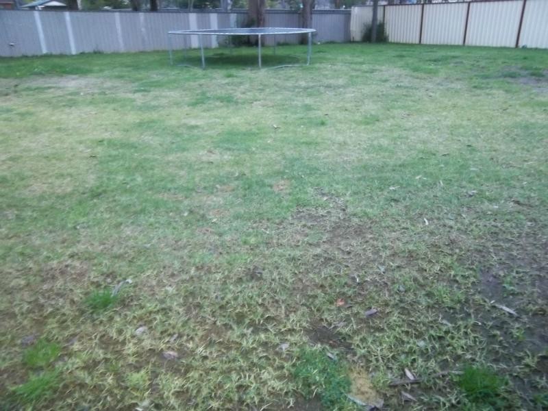 4 Robyn Place, Tahmoor NSW 2573