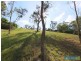 53 The Grange, Picton NSW 2571