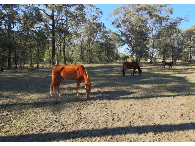 1405 Burragorang Road, Oakdale NSW 2570