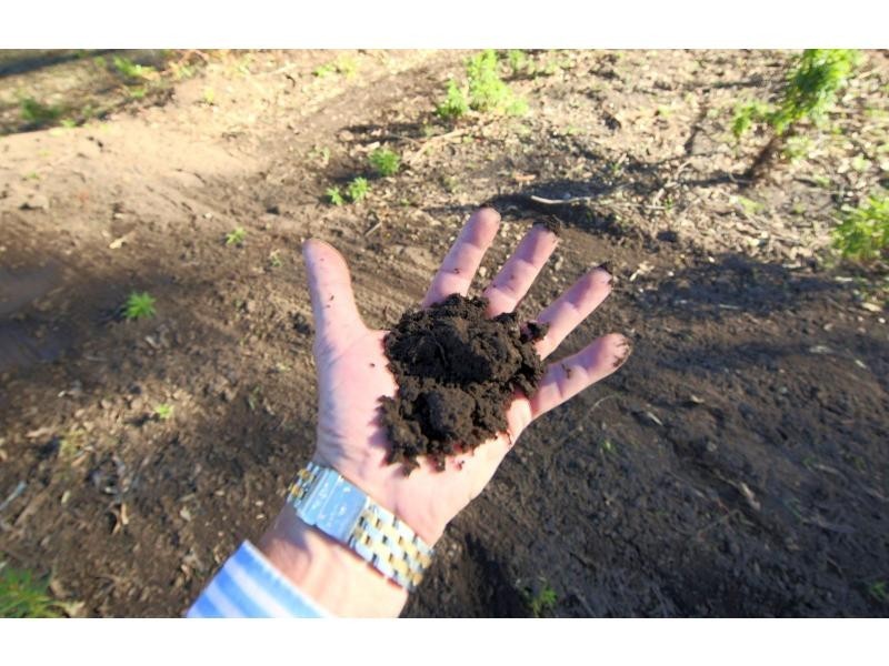 1405 Burragorang Road, Oakdale NSW 2570