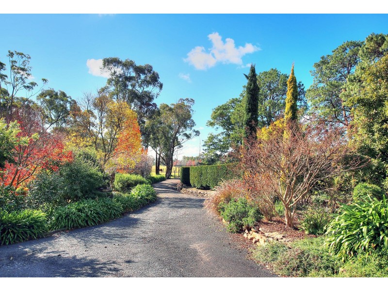 220 Rockbarton Road, Lakesland NSW 2572