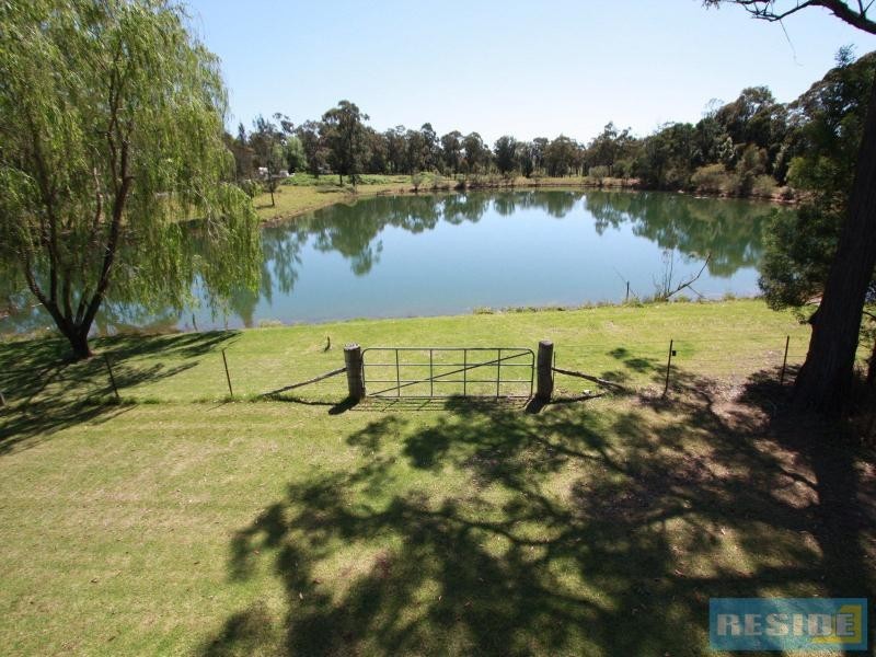 310 Steveys Forest Road, Oakdale NSW 2570