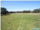 310 Steveys Forest Road, Oakdale NSW 2570