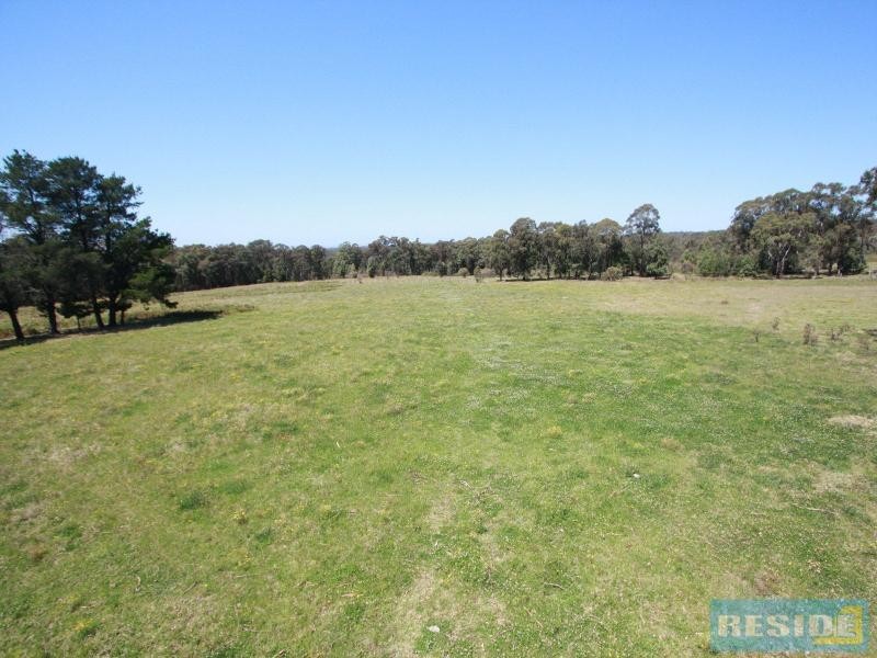 310 Steveys Forest Road, Oakdale NSW 2570