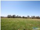 310 Steveys Forest Road, Oakdale NSW 2570