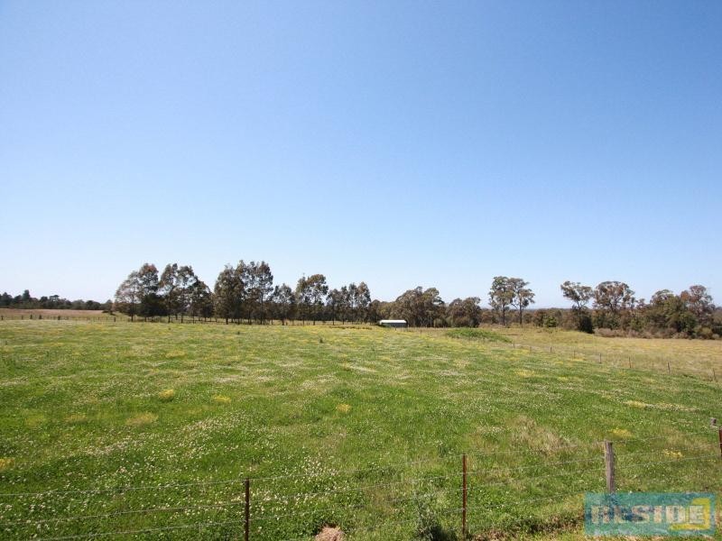 310 Steveys Forest Road, Oakdale NSW 2570