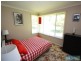 310 Steveys Forest Road, Oakdale NSW 2570