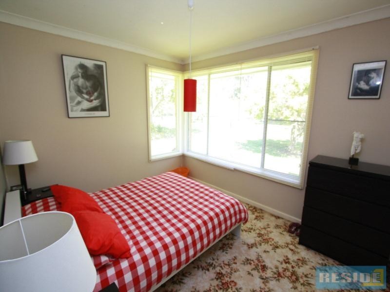 310 Steveys Forest Road, Oakdale NSW 2570