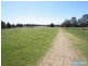 310 Steveys Forest Road, Oakdale NSW 2570