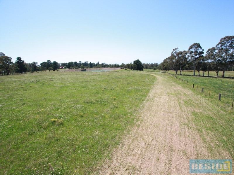310 Steveys Forest Road, Oakdale NSW 2570