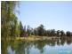 310 Steveys Forest Road, Oakdale NSW 2570