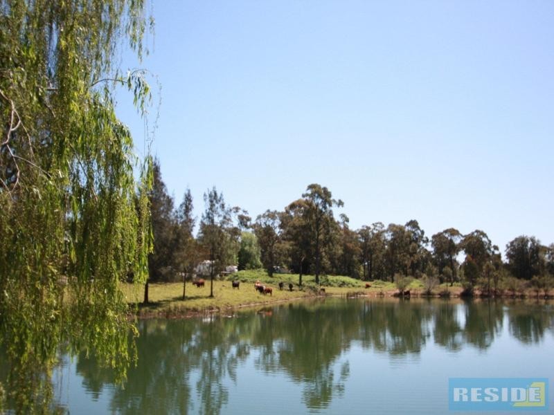 310 Steveys Forest Road, Oakdale NSW 2570