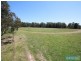 310 Steveys Forest Road, Oakdale NSW 2570