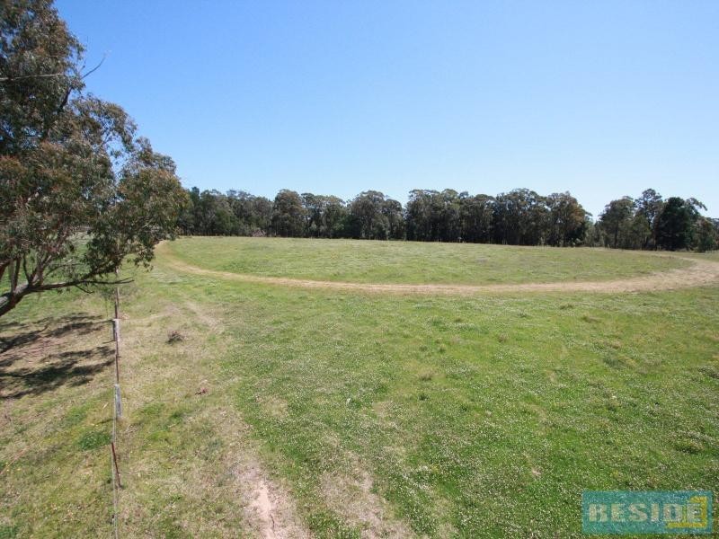 310 Steveys Forest Road, Oakdale NSW 2570