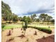 23 The Rapids, Mount Annan NSW 2567