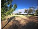 3 The Vines, Picton NSW 2571