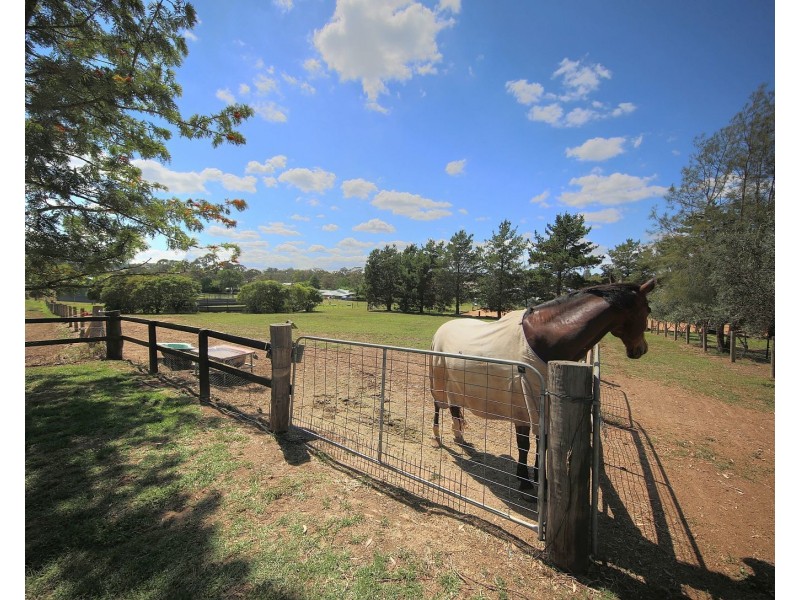 35 McWilliam Dr, Douglas Park NSW 2569