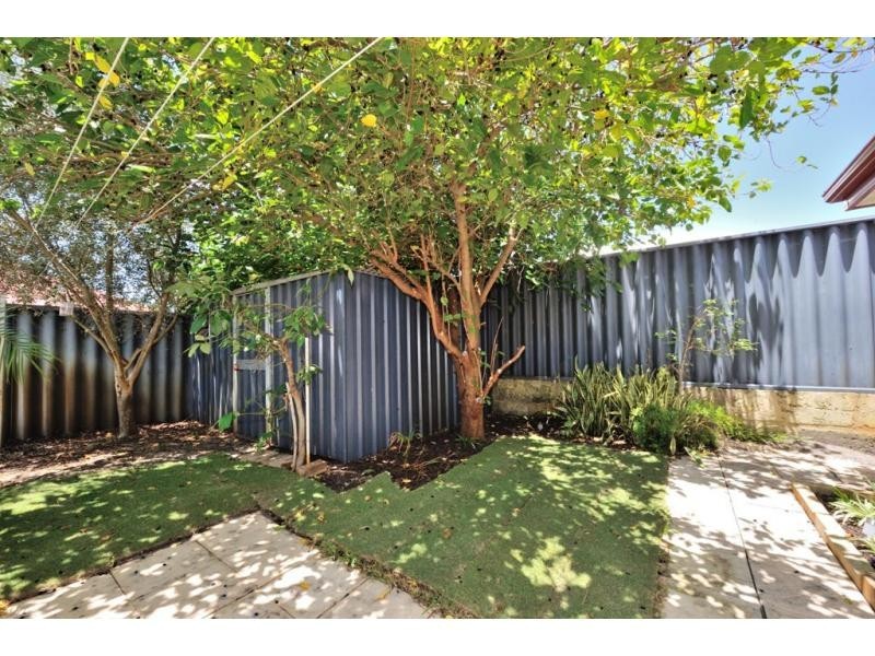 17 Ficifolia Brace, Baldivis WA 6171