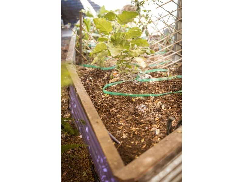 51 Lockyer Avenue, Northam WA 6401