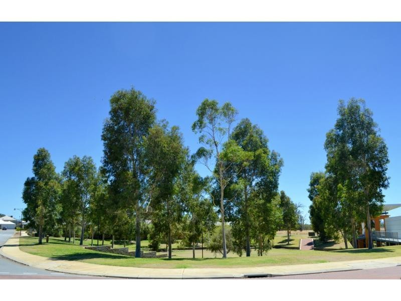 4 Curlewis Drive, Baldivis WA 6171