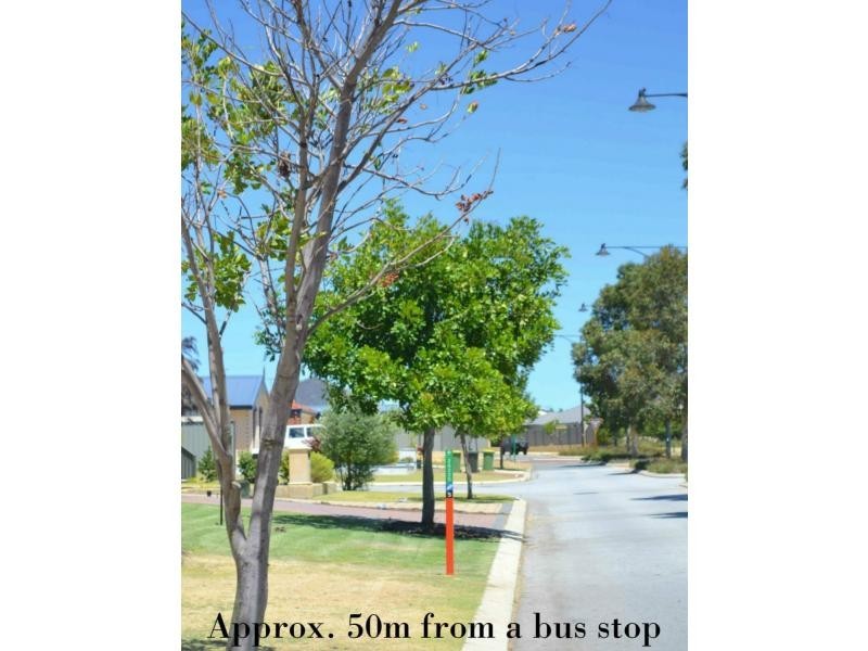 4 Curlewis Drive, Baldivis WA 6171