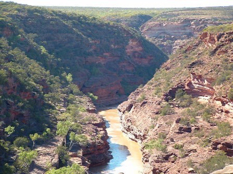 50 Jacques Boulevard, Kalbarri WA 6536