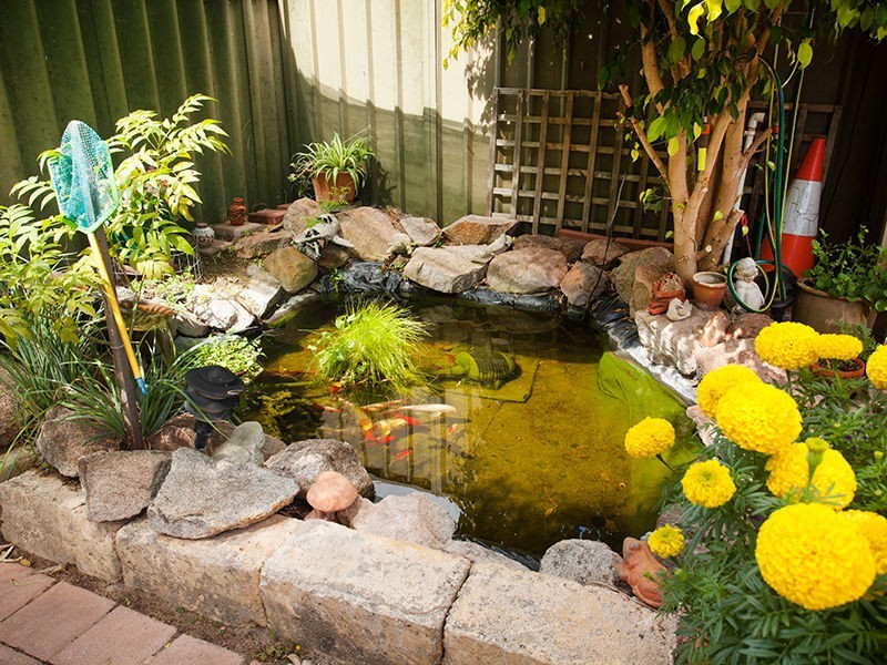 5 De Grey Close, Cooloongup WA 6168