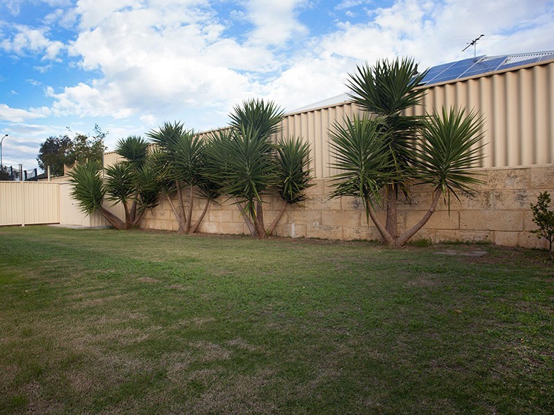 31 Benjamin Crescent, Tapping WA 6065