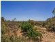 55 Barker Road, Wellard WA 6170