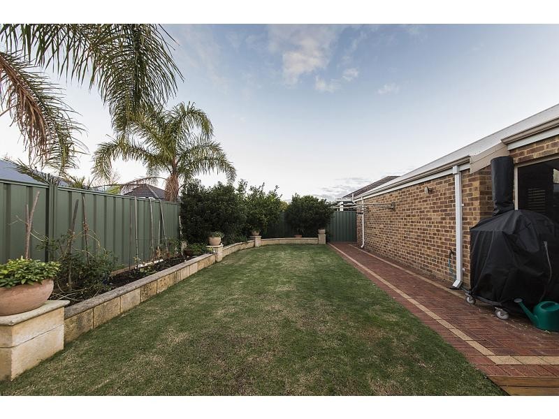 19 Dryandra Elbow, Atwell WA 6164