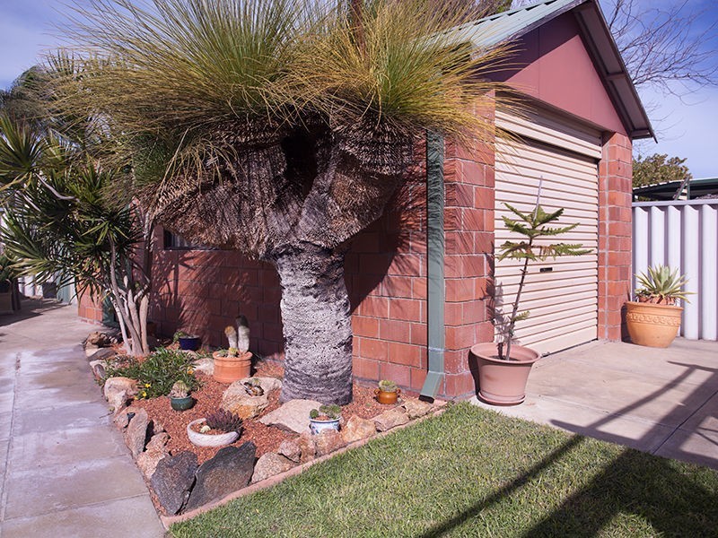 12 Belrose Crescent, Cooloongup WA 6168
