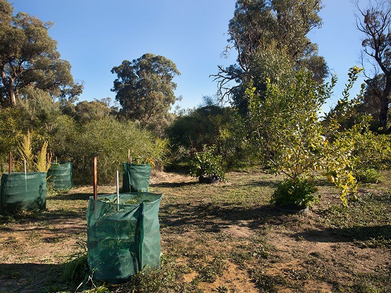 27 Peelfold Glen, Golden Bay WA 6174