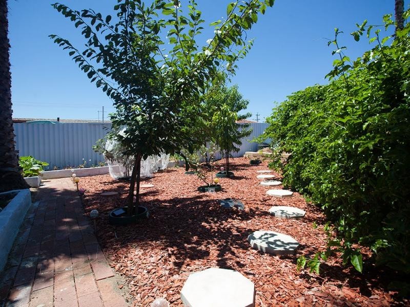 17 Mundi Place, Wanneroo WA 6065