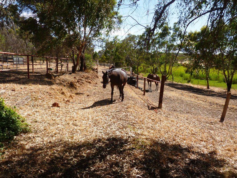 373 Werribee Road, Wundowie WA 6560