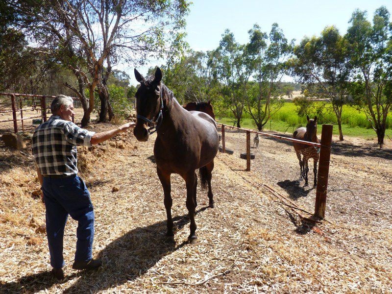 373 Werribee Road, Wundowie WA 6560