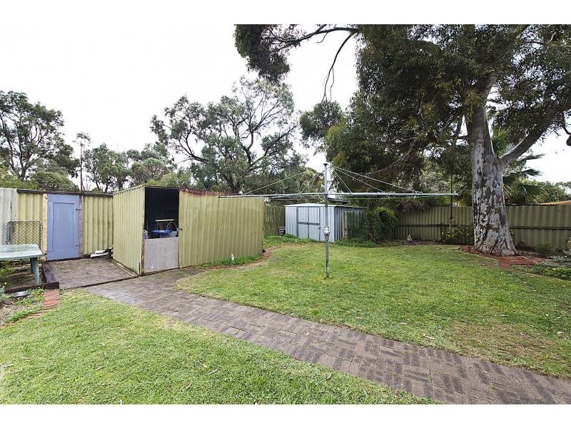 3 Albion Street, Craigie WA 6025