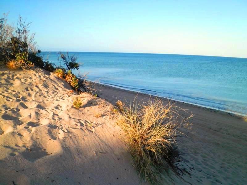 19 Osprey Way, Exmouth WA 6707