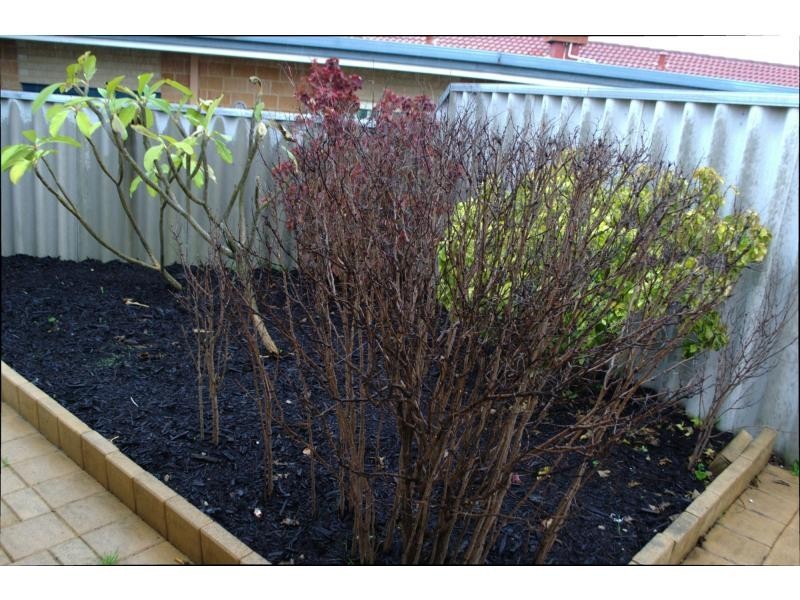 13/27-29 Goongarrie Drive, Cooloongup WA 6168