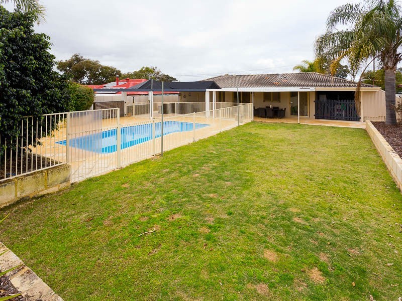 19 Grassbird Loop, Yangebup WA 6164