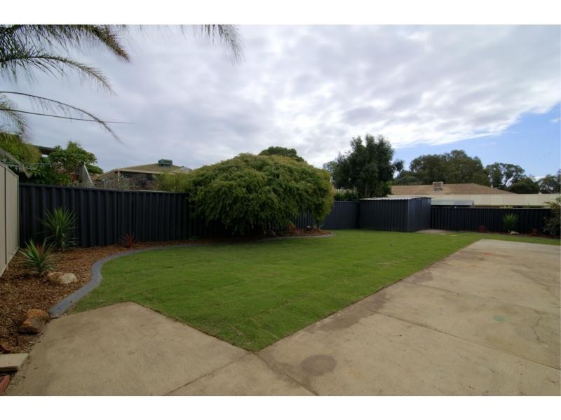 24 Williambury Drive, Yangebup WA 6164