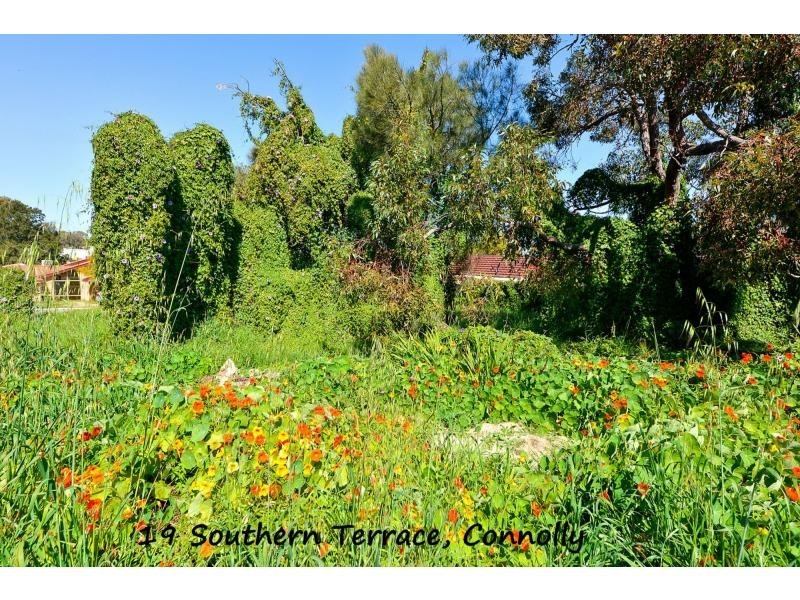 19 Southern Terrace, Connolly WA 6027