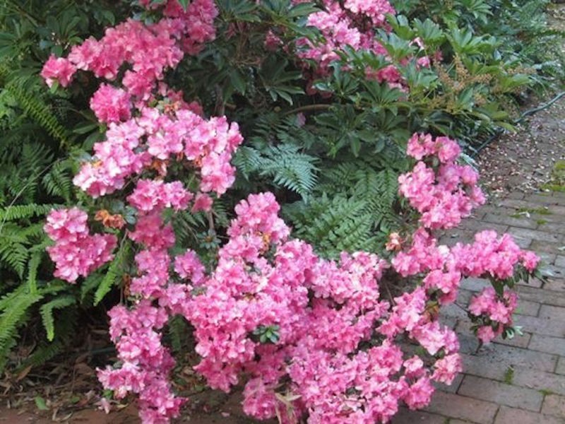 1 Oxley Place, Darlington WA 6070